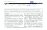 ReviewMolecular mechanisms of neuroinvasion by ......immune cell population during HIV infection [37], par-ticularly with progression to AIDS [38]. These CD16+ monocytes are also more