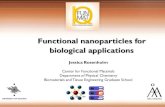 Functional nanoparticles for biological applicationsSiO 2-NP size control: •The carrier physicochemical properties, i.e. size and surface charge, are the two main determining factors