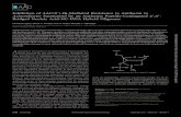 Inhibition of AAC(6 )-Ib-Mediated Resistance to Amikacin in ......Inhibition of AAC(6=)-Ib-Mediated Resistance to Amikacin in Acinetobacter baumannii by an Antisense Peptide-Conjugated