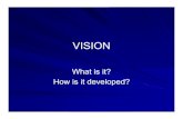 VISIONpoenitzmentoring.com/uploads/VISION__Compatibility_Mode_.pdfAnticipate change and are proactive rather than reactive to events Focus on opportunities, not on problems Emphasize