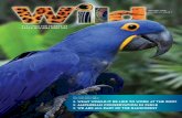 WHAT WOULD IT BE LIKE TO WORK AT THE ZOO? Amphibian …rwpzoo.org/sites/default/files/uploads/2018 Winter Wild... · 2018. 2. 1. · American rainforest like toucans, howler monkeys,
