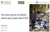 Are your genes to blame...Giles Yeo gshy2@cam.ac.uk @GilesYeo Are your genes to blame when your jeans don’t fit? Energy balance . Twin studies Heritability of BODY WEIGHT ~ 70% .
