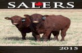 SALERSsalerscanada.com/wp-content/uploads/2015/10/2015-Salers...Saskatoon on Hwy 16 Visitors always welcome! Gar Williams Borden, SK 306.997.4909 WALKING SALERS BULLS SINCE 1990 AGW