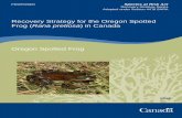 Species at Risk Act Recovery Strategy Series Adopted ......II Recommended citation: Environment Canada. 2014. Recovery Strategy for the Oregon Spotted Frog (Rana pretiosa) in Canada