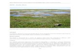 MA18 Gawler River - Landscape Boards SA · 2015. 4. 27. · Bryars (2013) Nearshore marine habitats of the AMLRNRM region: values, threats and actions 273 MA18 – Gawler River Intertidal