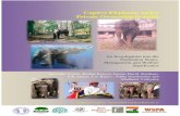 Captive Elephants under Private Ownership in India...elephants were sold to Bihar and Kerala, Tamil Nadu or tourism fields in Rajasthan and Nepal. However, even in poverty, captive