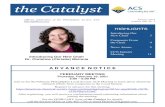 the Catalyst · 2021. 1. 6. · using my Chair’s Column to highlight current committees. It will focus on the mission of the committee, current volunteers, and opportunities to