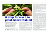A step forward in plant-based fish oil · GekaKonus GmbH · Siemensstraße 10 · D-76344 Eggenstein-Leopoldshafen Tel.: +49 (0) 721/94374-0 · Fax: +49 (0) 721/94374-44 · info@gekakonus.net