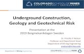 Underground Construction, Geology and Geotechnical Risk · 2019. 3. 25. · • Environmental impacts (bio-geo-chemical) • Construction impacts (safety, equipment) • Performance