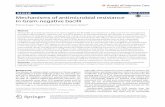 Mechanisms of antimicrobial resistance in Gram-negative bacilli...Ruppé et al. Ann. Intensive Care DOI 10.1186/s13613-015-0061-0 REVIEW Mechanisms of antimicrobial resistance in Gram-negative