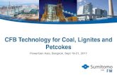 CFB Technology for Coal, Lignites and Petcokes · 2019. 12. 2. · Unit Start-up Year. Our CFB Technology Evolution. Unit Steam Capacity vs. Start-up Year. Lagisza. Samcheok. 1. st.