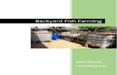 Backyard Fish Farming...my own fish and vegetables in my small backyard! It is amazing what you can accomplish when you put your mind to something. So obviously I googled ‘how to