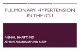 PULMONARY HYPERTENSION IN THE ICU - Piedmont ......Hepatosplenomegaly, Peripheral edema, Ascites, low CO state (low BP, diminished pulse pressure, cool extremitie)s Clinical Exam: