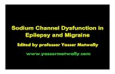 Sodium Channel Dysfunction in Epilepsy and MigraineGeneralized epilepsy with febrile seizures plus SCN1B, SCN1A, SCN2A Severe myoclonic epilepsy of infancy SCN1A (Na V1.1) Intractable