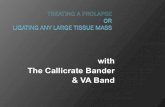 with The Callicrate Bander & VA Band - Valley VetYou will need: The Callicrate Bander and a Callicrate VA Band Tetanus toxoid (not antitoxin) must be used. It is important to read