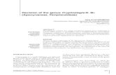 Revision of the genus Cryptostegia R. Br. (Apocynaceae, … · 2015. 5. 6. · outside Madagascar. The latex of Cryptostegiahas been used for pro-duction of rubber in India and Madagascar,