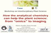 Workshop on Interdisciplinary Plant ScienceMarco A. Z. Arruda Soybean seeds, µg g-1 T NT Al 0.08±0.04
