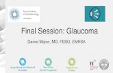 Final Session: Glaucoma¤sentationen... · 2020. 3. 11. · Final Session: Glaucoma Daniel Mojon, MD, FEBO, EMHSA. sli.do #saoo2020 Plenum 1 Plenum 2 Plenum 3. Learning Goals: - Origin