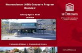 Neuroscience (NSC) Graduate Program Overview · 2017. 9. 18. · NSC Course Descriptions. Compulsory Courses: • FALL 2017 - NSC 5102 CELLULAR AND MOLECULAR NEUROSCIENCE (3 cr.)