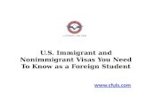 U.S. Immigrant and Nonimmigrant Visas You Need To Know as a Foreign Student