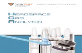 Headspace Gas Analysis - Pharmaceutical Networking · 2020. 3. 16. · HEADSPACE GAS ANALYSIS is a laser-based, non-destructive and fully automatic inspection method for sealed packages.