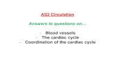 AS2 Circulation - KD Biokdbio.weebly.com/uploads/5/3/2/5/5325458/circ_booklet_answers_2… · Answers to questions on… -Blood vessels-The cardiac cycle-Coordination of the cardiac