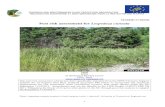 Pest risk assessment for Lespedeza cuneata · 2019. 7. 19. · 6 Summary 1 of the Express Pest risk assessment for Lespedeza cuneata PRA area: The EPPO region Describe the endangered