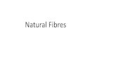 Natural Fibres - Bhaskaracharya College of Applied Sciencesbcas.du.ac.in/wp-content/uploads/2020/04/Natural-Fibres... · 2020. 6. 5. · Natural Fibre •Natural fibers are fibers