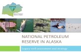 NATIONAL PETROLEUM RESERVE IN ALASKAdnr.alaska.gov/.../NPRALegacyWellsPresntation.pdfOverview Final Legacy Summary Report, May 2013 Draft Strategic Plan, May 2013 Exploration phase