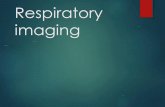 Respiratory imaging Modified By: Tala Saleh · 2021. 1. 17. · Ant ribs are oblique \(6\) whereas post ribs are horizontal \(8\)\r\n. Comment the number of visualized ribs and mention