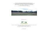 FINAL DETAILED MITIGATION PLAN LITTLE LICK CREEK BUFFER … Services/Document... · 2020. 9. 25. · Final Detailed Mitigation Plan Ecosystem Enhancement Program Executive Summary