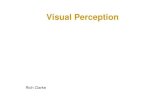 Visual PerceptionVisual Perception - UCL · 2011. 4. 4. · Visual acuity is a function of contrast sensitivity ~30sec Vernier (hyper) ... visual fieldvisual field Different spectral