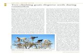 Tree‐climbing goats disperse seeds during ruminationdigital.csic.es/bitstream/10261/158050/1/Delibes_et_al...seeds of some species are unlikely to survive passage through the ruminant