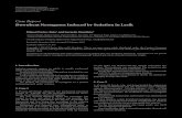 Case Report DownbeatNystagmusInducedbySedationinLasik...sedation with opioids and benzodiazepines. Rottach et al. [3] found that after intravenous adminis-tration of opiates, eye movements