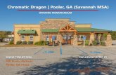 Chromatic Dragon | Pooler, GA (Savannah MSA) · 2019. 1. 2. · Chromatic Dragon is entrenched within the main retail artery that serves local residents, the commuter labor force,