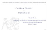 Curvilinear Elasticity - cvut.czusers.fs.cvut.cz/tomas.mares/z/defence.pdf · 2011. 8. 6. · CTU in Prague 1 231. The method is the aim The problems are here to illustrate the method