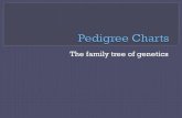 The family tree of genetics - Ohio County SchoolsA pedigree is a chart of the genetic history of family over several generations. ! Scientists or a genetic counselor would find out