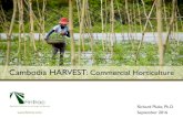 Cambodia HARVEST: Commercial Horticulture...Agricultural solutions to end hunger and poverty HARVEST: Markets • Collaborated with 377 buyers and linked them to 4,362 horticulture