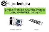 Glycan Profiling Analysis System using Lectin Microarrays · 2013. 9. 23. · Lectin Array Analysis SDS-PAGE 2D Electrophoresis LC-MS Identification of Carrier Proteins Screening