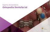 Experto Universitario en Ortopedia Dentofacial...Posgrado en Ortodoncia, The Charles H. Tweed Internacional Foundation for Orthodontic Research. Tucson, Arizona EEUU (2014) Tucson,