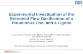 Experimental Investigation of the Entrained Flow Gasification ......• Experimental investigation of entrained flow gasification for two fuels at high temperatures (up to 1600 C)