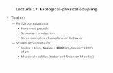 Lecture 16: Biological-physical coupling 17.pdfLecture 17: Biological-physical coupling •Topics: –Finish zooplankton •Herbivore growth •Secondary production •Some examples