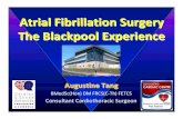 Atrial Fibrillation Surgery The Blackpool Experienceechocardiographically determined left atrial size and atrial fibrillation. Circulation. 1976;53:273-9. ... Pulmonary veins ... analysis