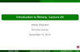 Introduction to Botany. Lecture 29 · Class Marattiopsida (giant, or marattialean ferns) Class Pteridopsida (“true” ferns) Shipunov (MSU) Introduction to Botany. Lecture 29 November