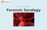 Forensic Science Forensic Serology · 2019. 8. 16. · Forensic Serology Forensic Science. Composition of Blood •Blood is a complex mixture of cells, enzymes, proteins, and inorganic