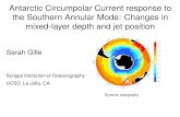 Antarctic Circumpolar Current response to the Southern ... Tue...Antarctic Circumpolar Current response to the Southern Annular Mode: Changes in mixed-layer depth and jet position