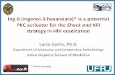 Johns Hopkins School of Medicine - HIV Persistence during therapy · 2018. 9. 24. · •Group 2A – Bioqual – 4 ... Ingenol A promising novel compound for the eradication of latent