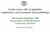 From stem cells to platelets regulation, environment and ...fisica.unipv.it/CILSOMAF/OldSite/files/activities...Valeria Bozzi Carlo Balduini Tufts University Chris Canizzaro Michael