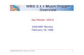 WBS 3.1.1 Muon Trigger Overviewhep.wisc.edu/wsmith/cms/Lehman99_hauser.pdf · 1999. 3. 1. · US CMS DOE/NSF Review: February 17-19, 1999 10 CSC Muon Trigger Scheme Strip FE cards