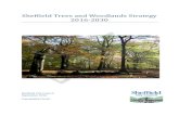 Sheffield Trees and Woodlands Strategy 2016-2030...1.2 What the Strategy Covers The Strategy covers the entire city, from trees and woodlands within the inner city to those within